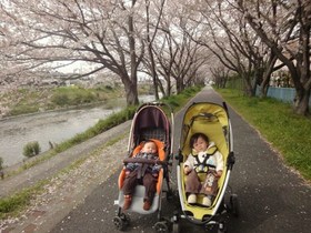 桜と子供達.JPG